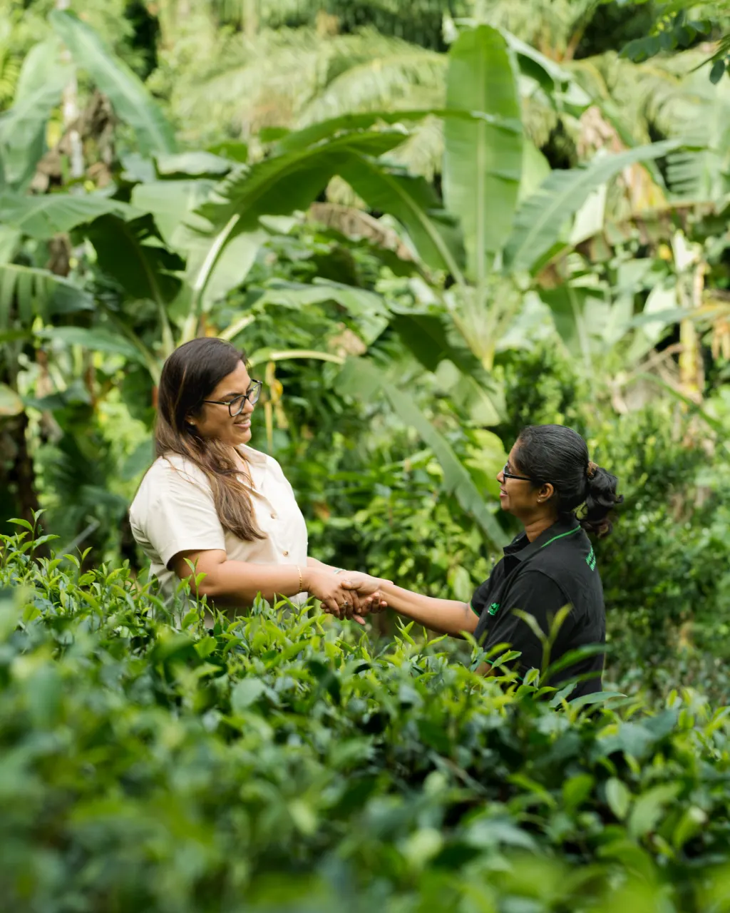 The CeyLur family among the tea gardens
