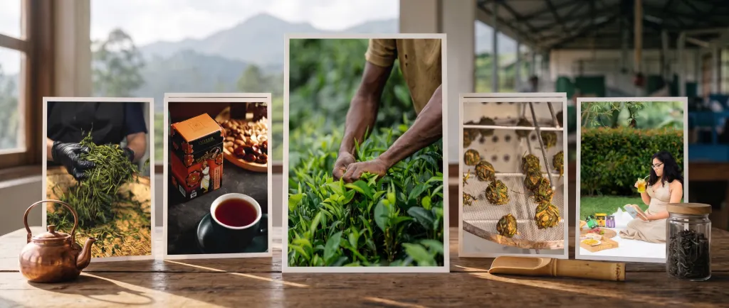 CeyLur Ceylon tea estate